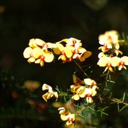 Muogamara: October 2010