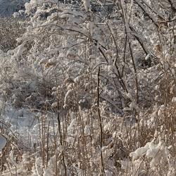 Snowfall, 2 December 2017