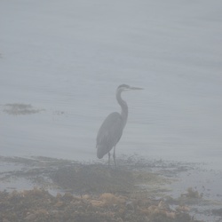 Acadia: September 2017