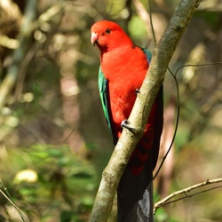 Narrabeen Lagoon October 2017